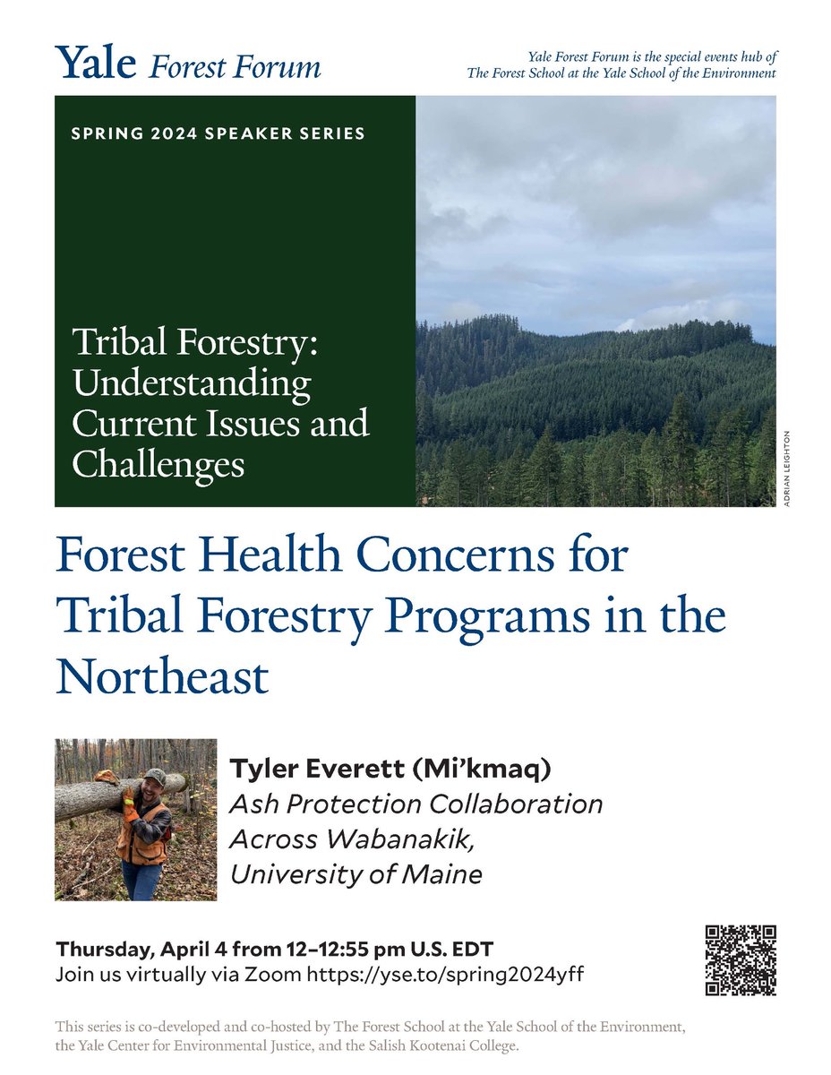 ⏰ In one hour! Tyler Everett (Mi’kmaq) will join #YFF to discuss a framework for preserving species against non-indigenous insects and pathogens and Tribal forestry programs in the Northeast, enduring cultural integrity in tribal forest lands. yse.to/spring2024yff