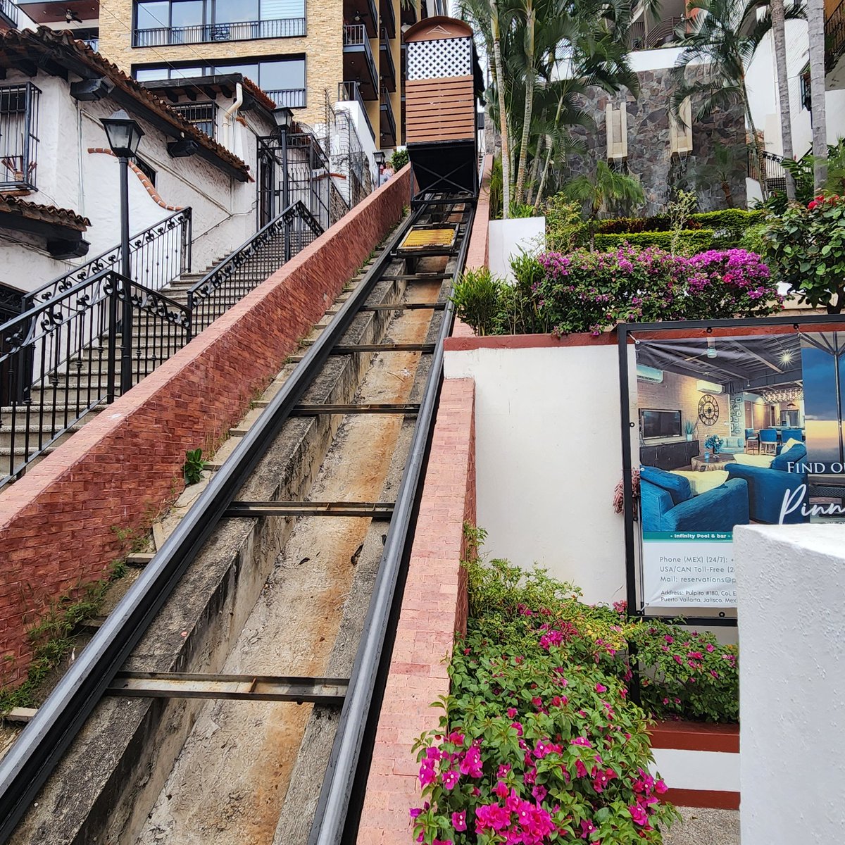 OPChicao's tweet image. Mama can only walk up so many stairs. We are staying on a cliff. Talk about getting your steps in...#delicateflower