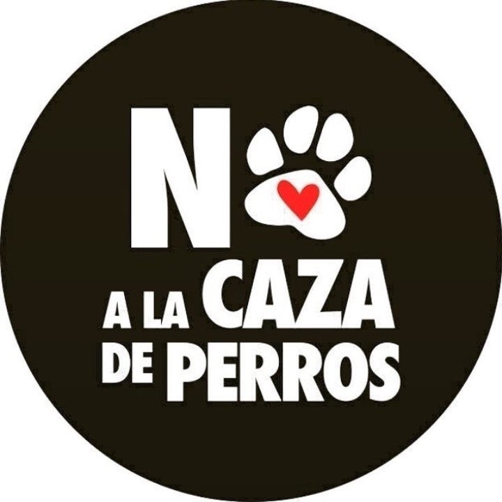 gloriabaettig's tweet photo. 🚨🚨🚨 ⁦@ContigoCHV⁩ ahora en la ⁦@Camara_cl irá a votación la Ley Caza de Perros a la que decimos Fuerte y Claro  👇 https://t.co/qV2gd1EEfY