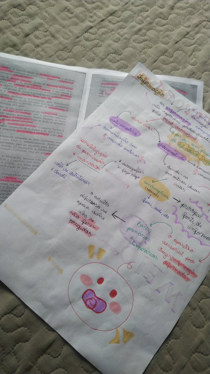studyjuh's tweet image. Estudando pra roda de conversa de desenvolvimento, como sempre minhas anotações são um caos que só eu entendo (as vezes nem eu