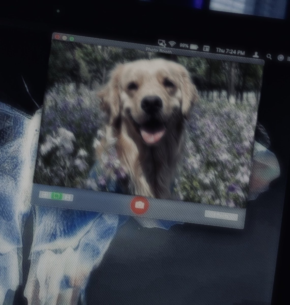 ᅠ
ᅠ
ᅠ

       THE-WANDERING-CANINE.⠀ ⠀
 キャラハン ミカエリス。𝐊𝐀𝐋𝐀𝐇𝐀𝐍                 ⠀ ⠀ ⠀ ⠀ ⠀ ⠀ 𝐌𝐈𝐂𝐇𝐀𝐄𝐋𝐈𝐒. ⠀ 

ᅠ
ᅠ
ᅠ