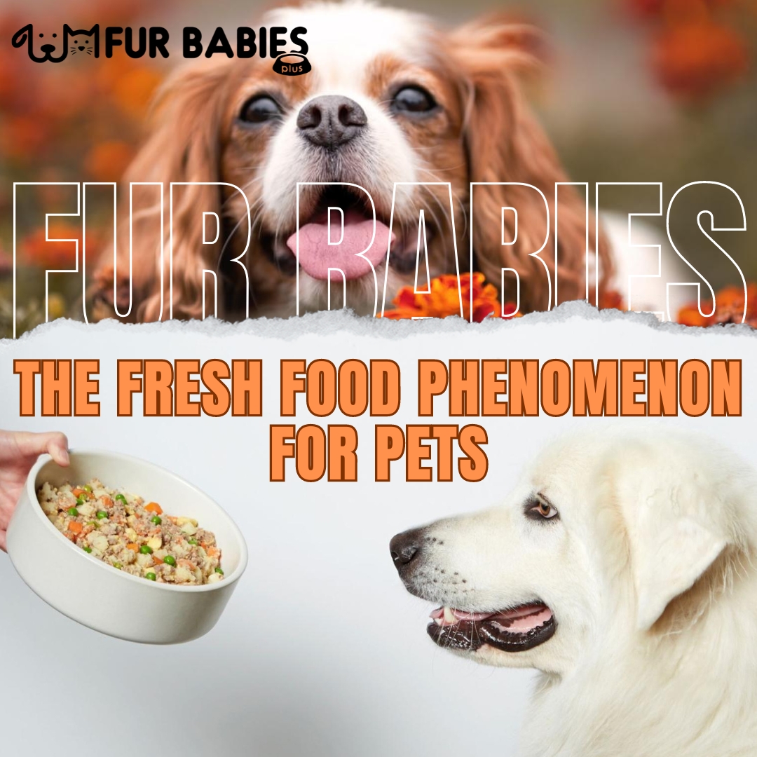 furbabiesplus01's tweet image. Elevate your pup's dining experience with wholesome dog fresh food! 🐶🍲 Real ingredients for real health benefits. From shiny coats to wagging tails, watch them thrive with every bite. #FreshFoodForDogs #HealthyPups #NutritionMatters