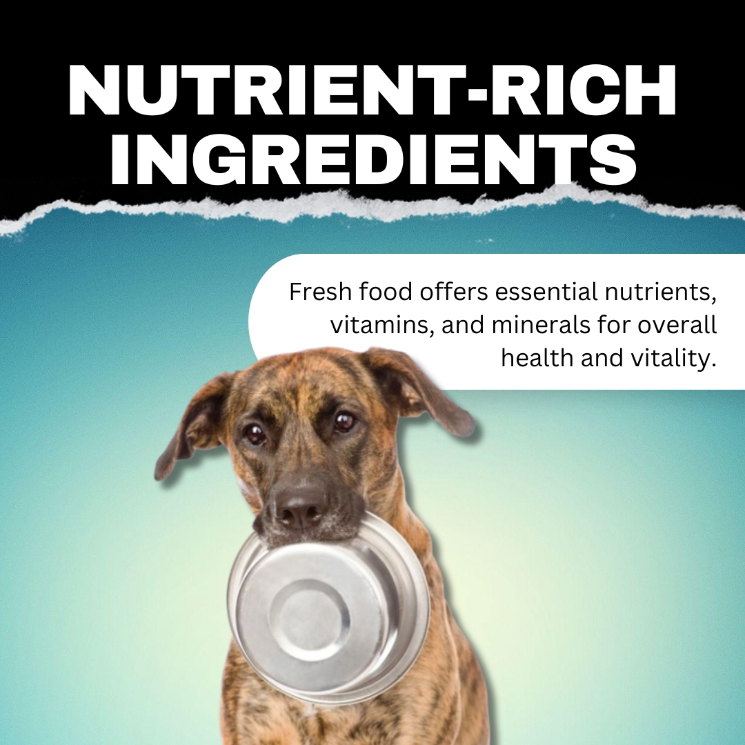 furbabiesplus01's tweet image. Elevate your pup's dining experience with wholesome dog fresh food! 🐶🍲 Real ingredients for real health benefits. From shiny coats to wagging tails, watch them thrive with every bite. #FreshFoodForDogs #HealthyPups #NutritionMatters