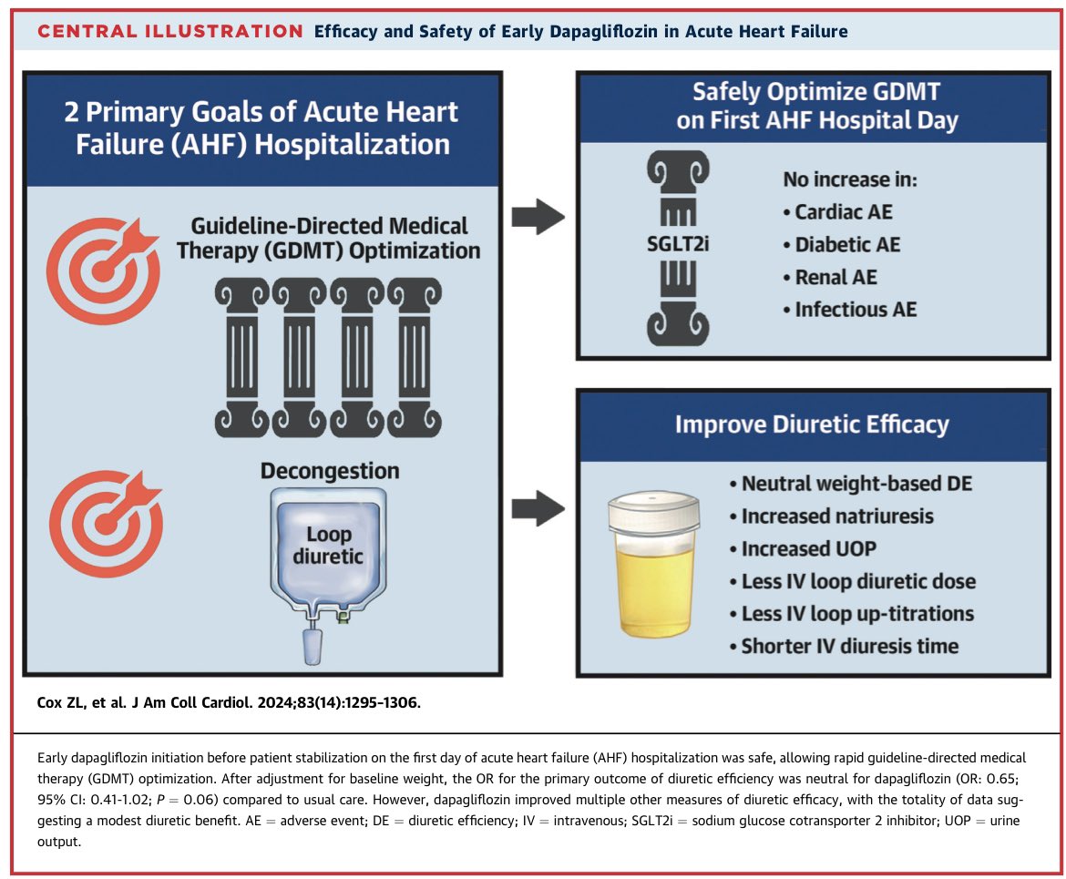 📌#DICTATE-AHF : negativo
💊 Dapagliflozina en #IC aguda

🤫No son diuréticos….. (ya lo sabíamos😉)
🤦🏻‍♀️Eligieron como end point: 𝐜𝐚𝐦𝐛𝐢𝐨 𝐚𝐜𝐮𝐦𝐮𝐥𝐚𝐭𝐢𝐯𝐨 𝐝𝐞 𝐩𝐞𝐬𝐨 🗣️ya sabemos es una medida no confiable

👥238 (de 3672 solo el 7% se randomizó) 🤔es IC aguda