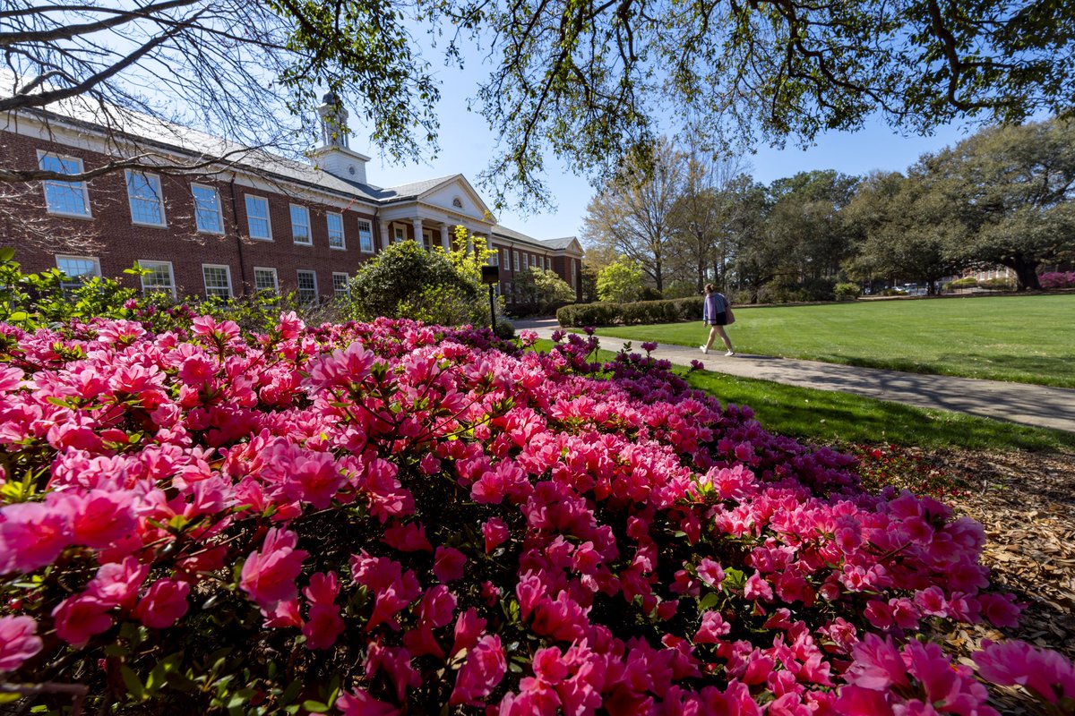 April showers bring... azalea flowers, at least at UNCW! Visit campus to see the vibrant colors of a Seahawk spring for yourself! #UNCW #SpringBlooms