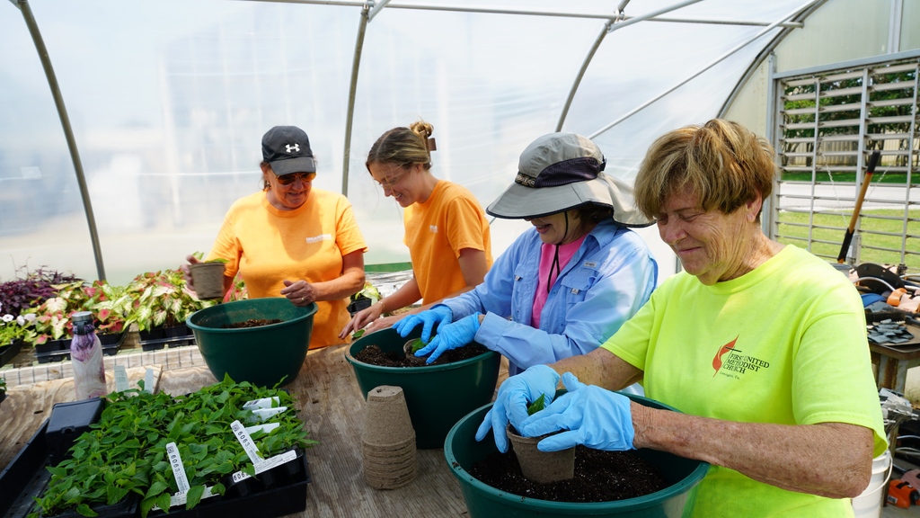 Did you know April is National Garden Month? In April 2013, Gov. Bill Haslam signed a bill designating the University of Tennessee Gardens as the official State Botanical Garden of Tennessee. Learn about the sites in Knoxville, Jackson and Crossville: utgardens.tennessee.edu