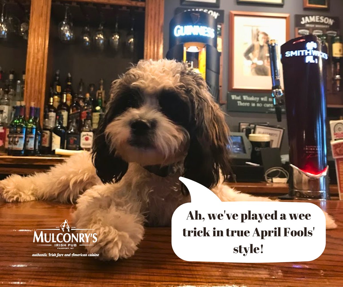 Mulconrys Irish Pub tweet media