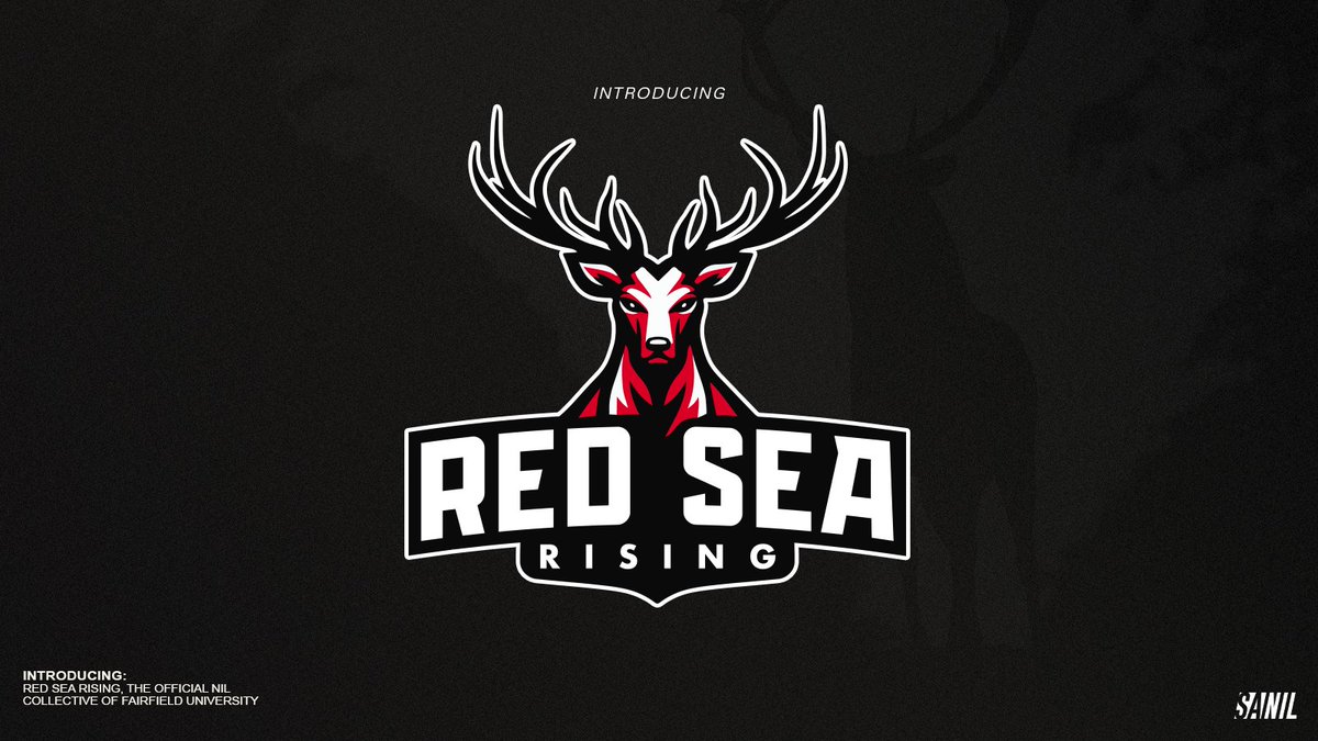 Red Sea Rising Launches to Support Fairfield University Student-Athlete’s NIL Endeavors Follow @redsearisingnil ➡️ bit.ly/3TJKrx8
