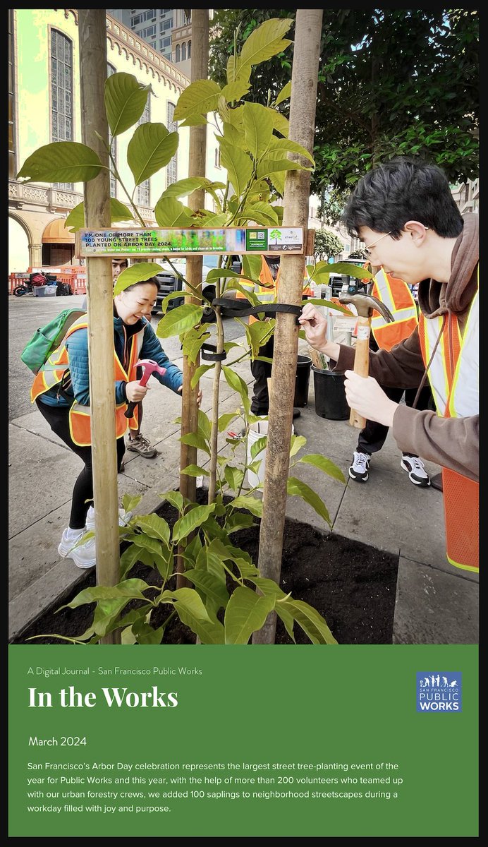 Check out the latest issue of our digital journal, In the Works, with stories on last month's Arbor Day event where we planted 100 trees, Third Street Bridge reopening, improvements to Upper Market Street and more! sfpublicworks.org/march2024