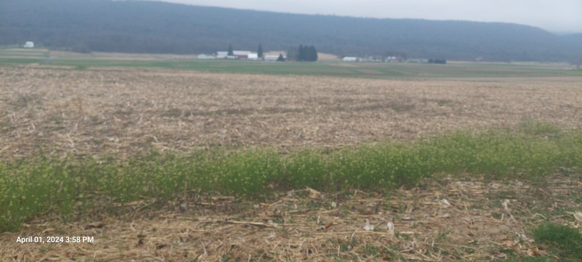 Greg Roth tweet media