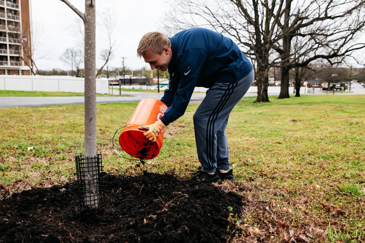 .@Titans staff partnered up with @HONashville & @Trees4Nashville for a Titans Together presented by @GallagherGlobal service project at Hadley Park! Volunteers participated in tree maintenance & cleanup projects around the park for members of the Nashville community to enjoy!