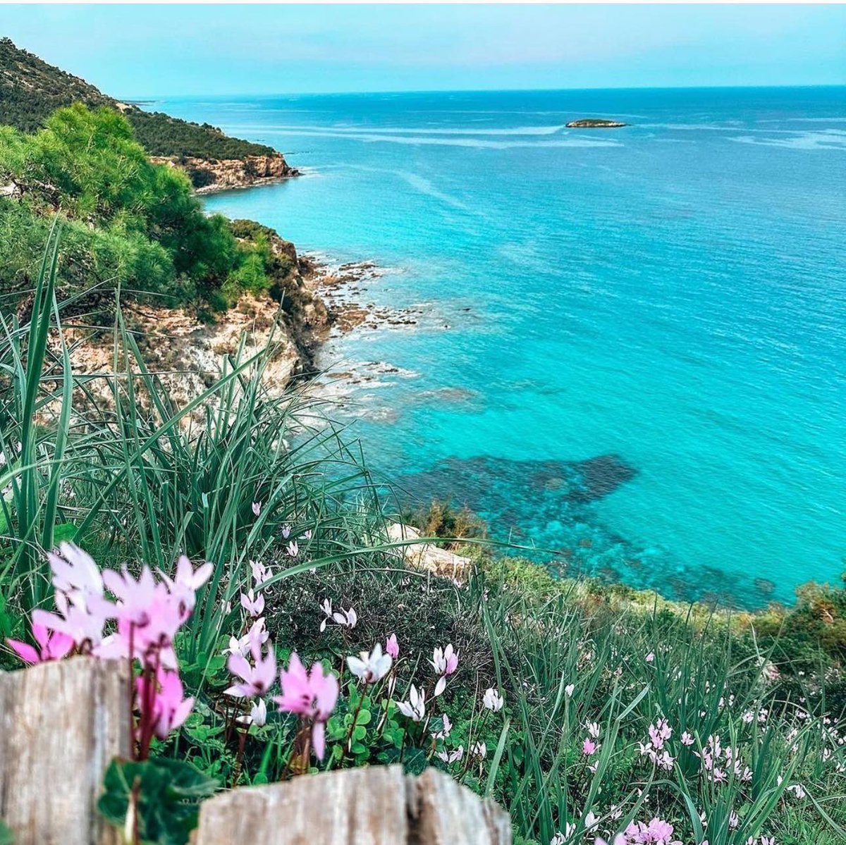 🌸 Hello April! 🌼 We welcome a month filled with blooming flowers, warmer days, and endless possibilities. @absolutelylucy #Cyprusairports #HermesAirports #Spring #Travel #Cyprus