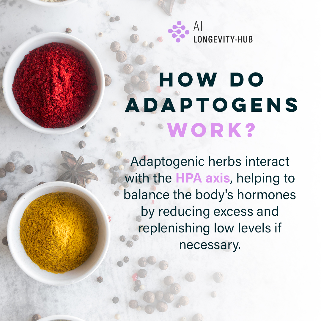 AILongevity_hub's tweet image. #Adaptogens are plant compounds aiding #stress management and balance 💯 
They enhance #internalsystems, boosting vitality, mood stability, and performance. Interacting with the HPA axis, they balance hormones, reducing excess and replenishing deficiencies 👍