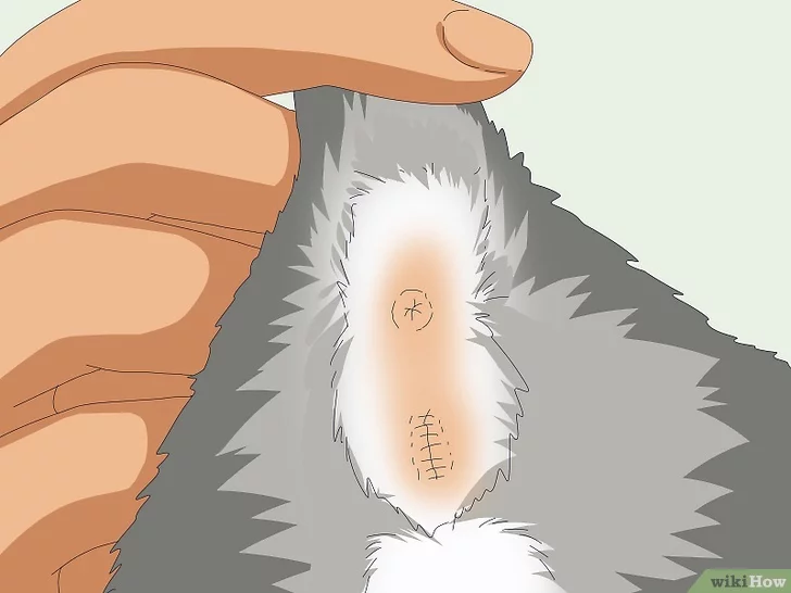 cathazballz tweet media