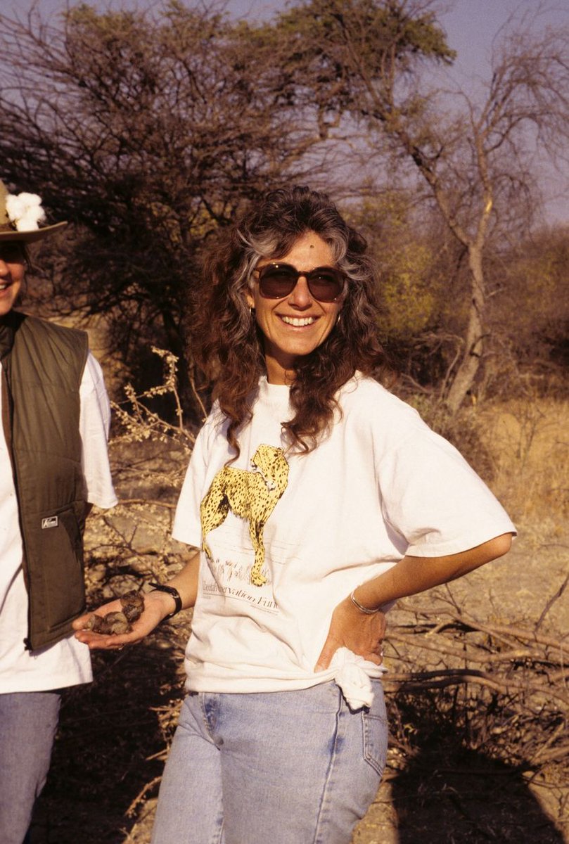 It's #AprilFoolsDay, so here's a #throwback photo and quiz! Which is true: a) Dr. Marker left the US for Namibia on April 1 b) Dr. Marker will do anything to #savethecheetah, including collecting their scat c) CCF has the world's largest stash of cheetah scat. Answer: all true!