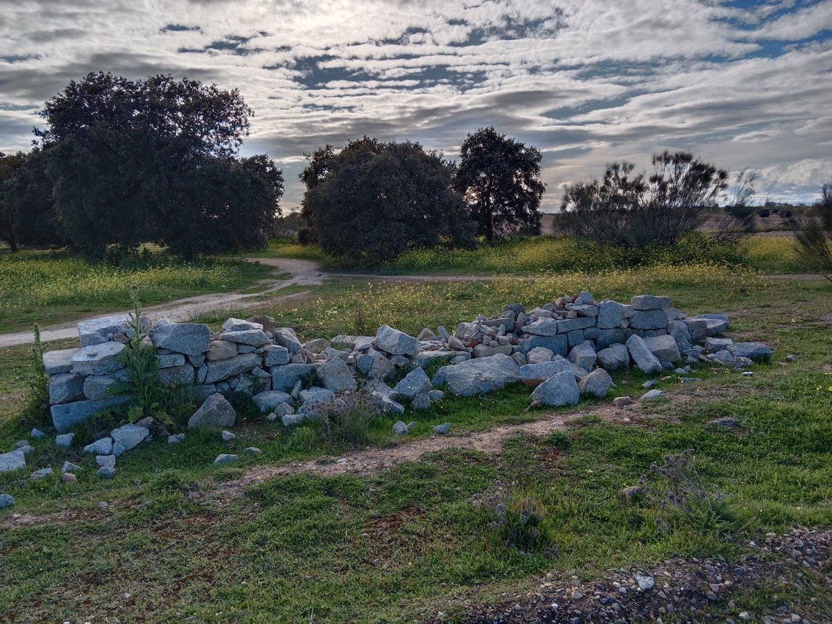 Corredor 🌳🌾🌿 del Suroeste 🌻🌛 tweet media