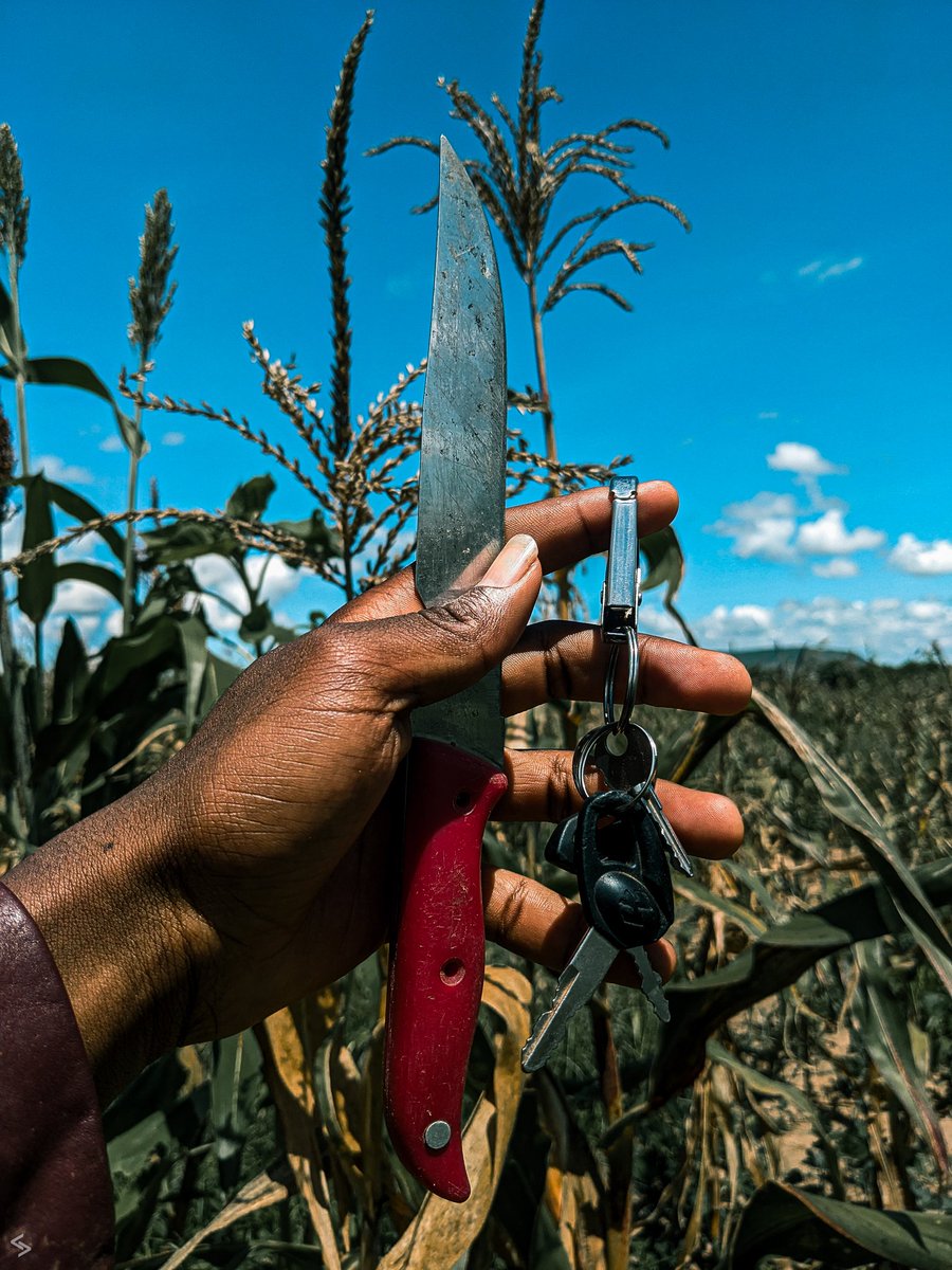 Shambani Collection
As @madebygoogle 
#TeamPixel 
#PichaZaGuru