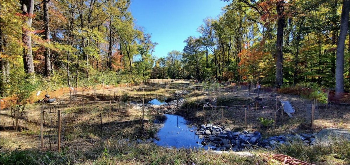 Join city staff and the Rockville Environment Commission for a tour of the recently completed Northeast Pond and Stream Restoration Project from 6-7 p.m. Thursday, April 25 at Northeast Park. Learn more and register at rockvillereports.com/ffz2