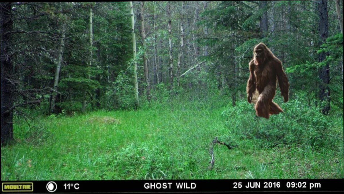 Tyler Dixon tweet media