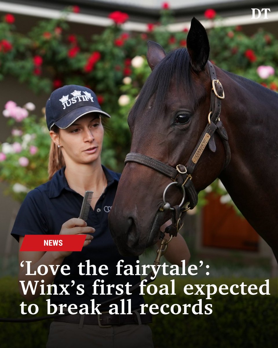 The beginning of this fairytale story has been captured in a new documentary, Winx: The Next Generation 👉 bit.ly/3IZFPhC