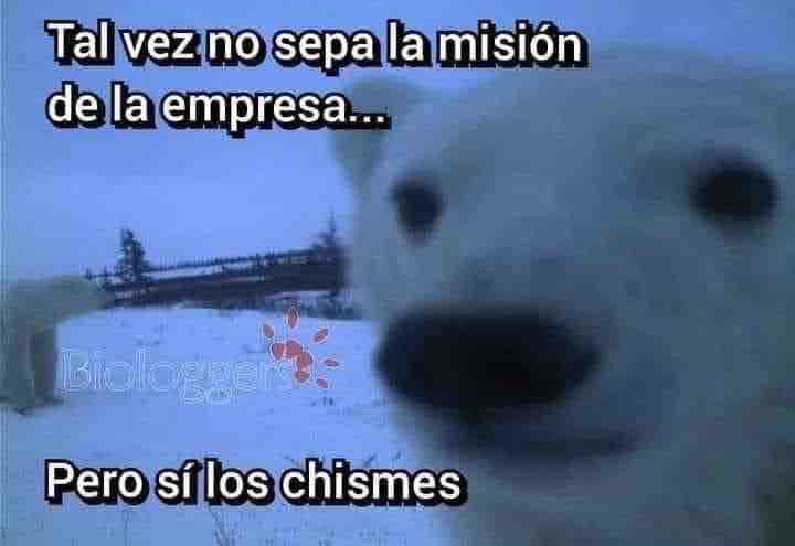 Guarromantico_'s tweet photo. https://t.co/58SYnVY6Kj