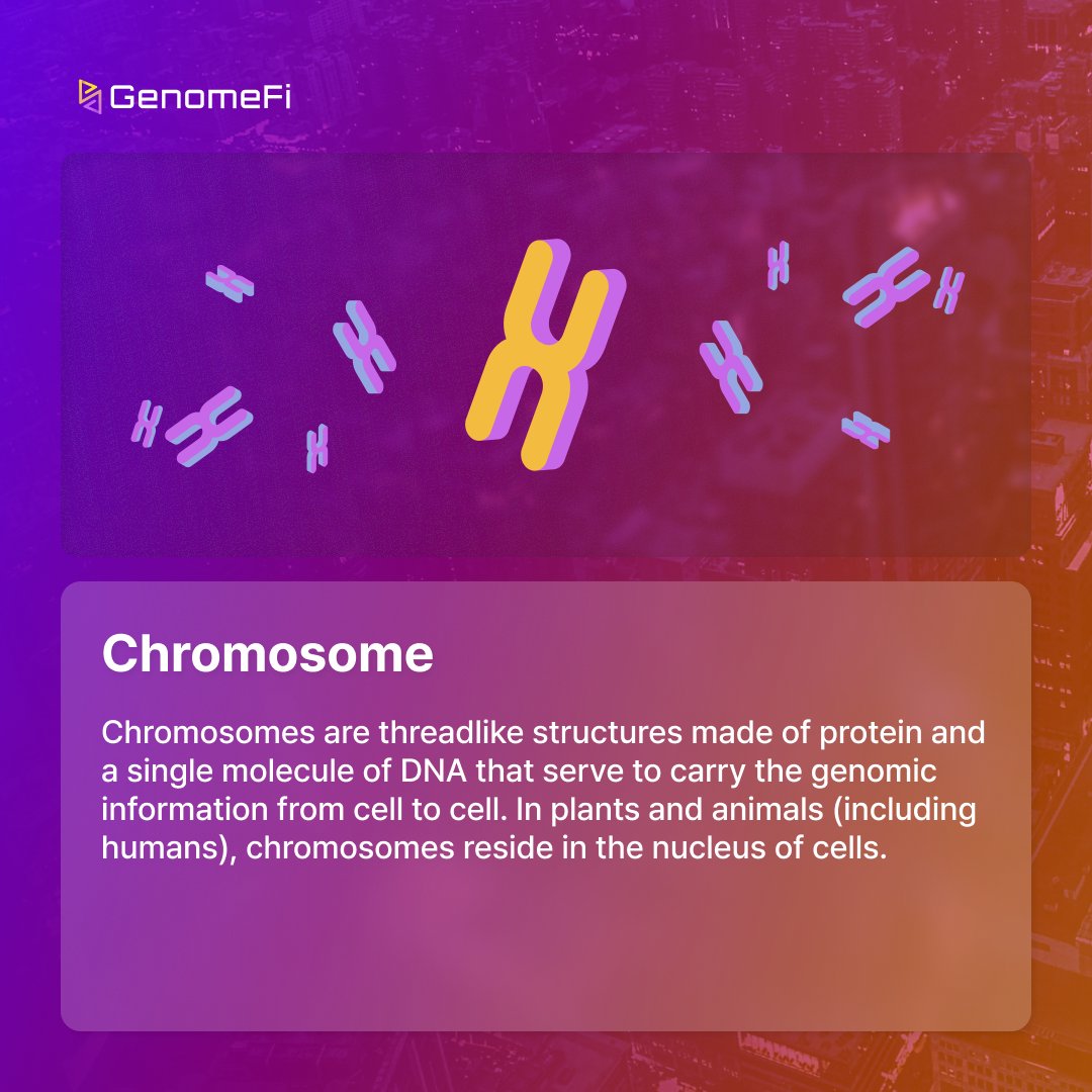 Keyword Snapshot  C -  14

Unlocking the Code of Chromosome

Explore the fascinating world of genetics with our Keyword Snapshot card. 

#Genome #Blockchain #Polygon #PolygonLabs #Card #DNA #GENO