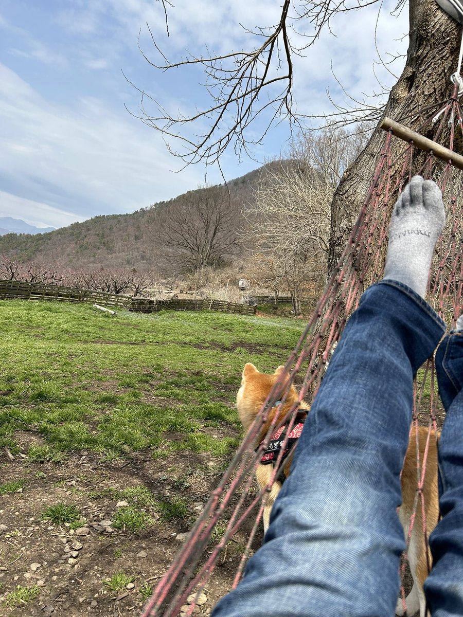 本持ってくればよかった