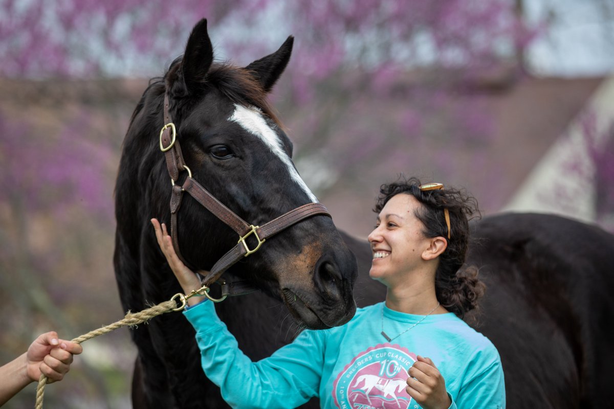 Happy 20th Birthday, Zenyatta 💕 We had the absolute privilege of hosting a birthday party for the queen with the team at Lane's End Farm. Thank you to everyone who joined us to celebrate Z on her big day! #VisitHorseCountry