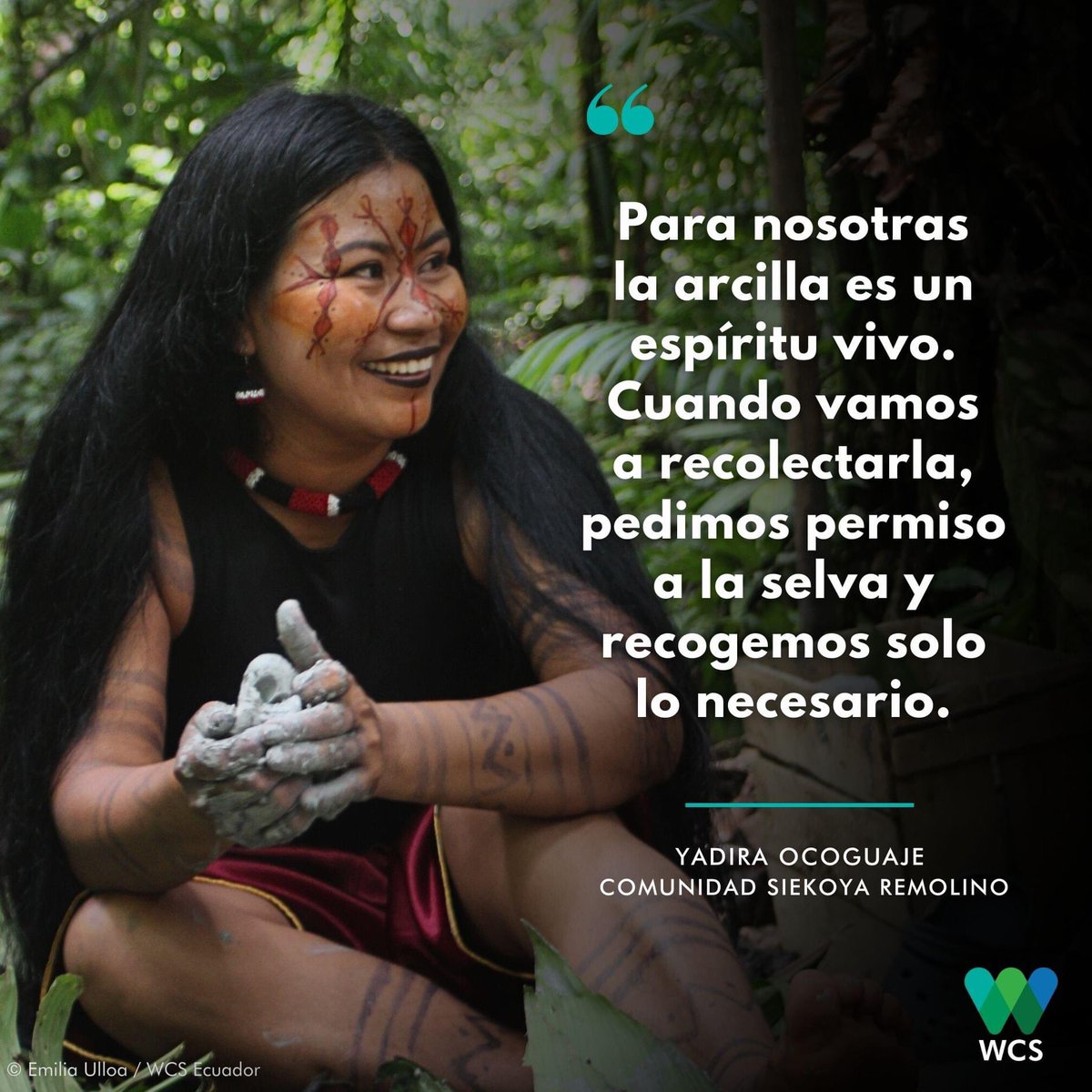 #WeStandForWildlife 🐾 | #YadiraOcoguaje es lideresa de la Comunidad #SiekoyaRemolino y ceramista #Siekopai. A través de esta práctica, ella junto a otras mujeres de su comunidad defienden su territorio, resguardan los saberes ancestrales y mantienen viva su cultura. 🌱🏺 🖐💚💙