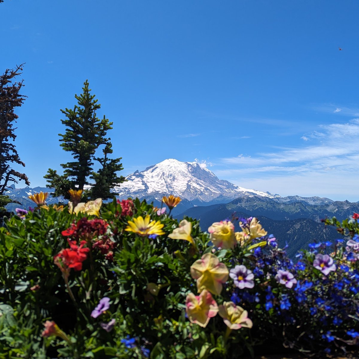 Happy Earth Month! 🌎🌲 From Mount Rainier to the North Cascades and Olympic National Park, Seattle is just a few hours from some of the country's most beautiful national parks. 📷: Visit Seattle Staff; views of Mount Rainier from Crystal Mountain