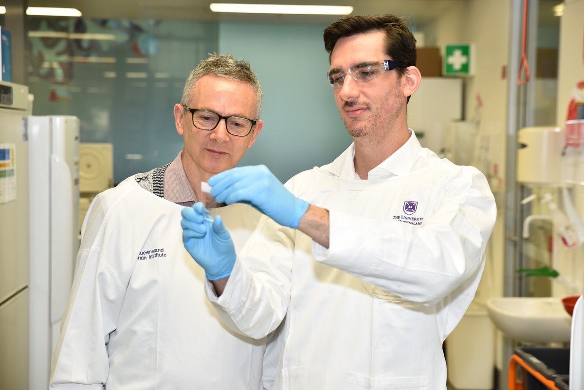 Research from Dr Gerhard Leinenga and Professor Jürgen Götz has found that targeting amyloid plaque in the brain is not essential and that ultrasound alone can lead to cognitive improvement in neurodegenerative diseases. 🔗bit.ly/3PNcXwN #UQ #QBI #news #alzheimers