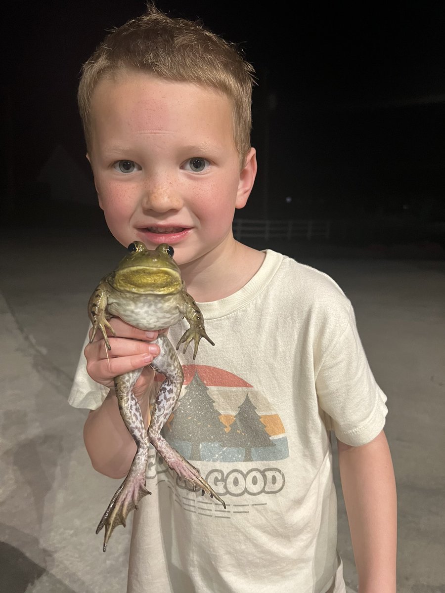 My boys have been catching some big 🐸!!