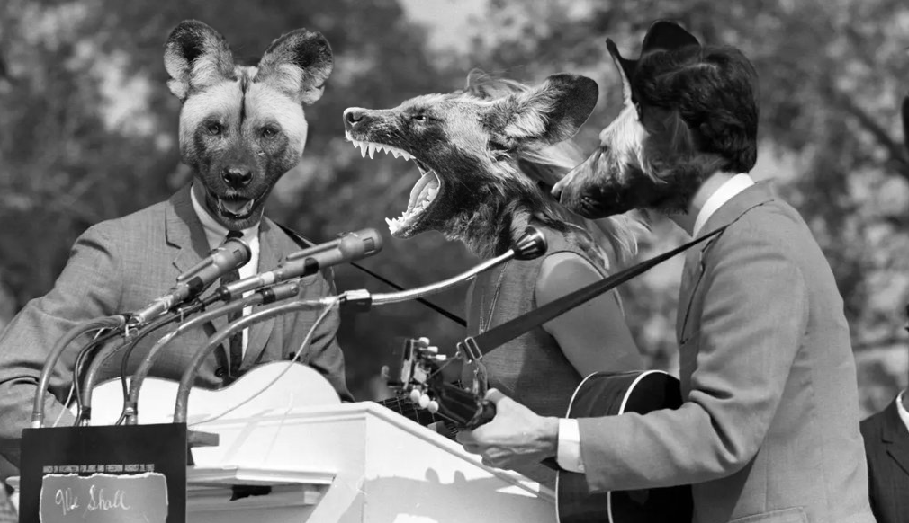 Digital Media Creatives tweet media