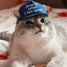 AutismCatSolana's tweet photo. @JakeGagain Please don't talk to me or touch me I have $catism BrMfArTrrdG6GR11EVwToD89xGPnCLh6NA3Qdhp9hG5D https://t.co/PAd6ug9glN