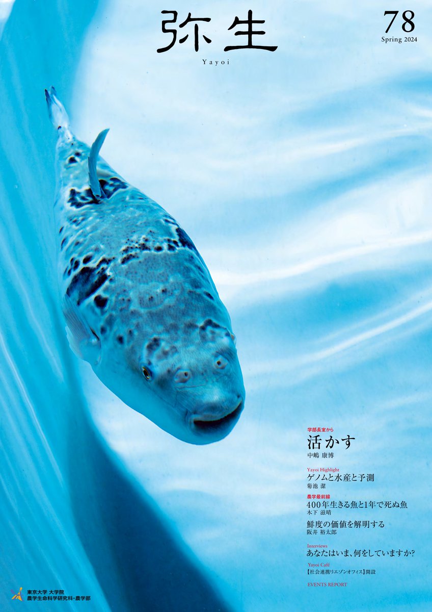 UTokyo_Agri's tweet photo. 【お知らせ】広報誌『弥生』78号を公開しました。
https://t.co/MkmI1GjRFt
テーマ：活かす
表紙：トラフグ（附属水産実験所）
研究紹介：「ゲノムと水産と予測」、「400年生きる魚と1年で死ぬ魚」、「鮮度の価値を解明する」
専攻紹介：水圏科学生物専攻
特集：社会連携リエゾンオフィス開設 https://t.co/jEHfVg4OJ1