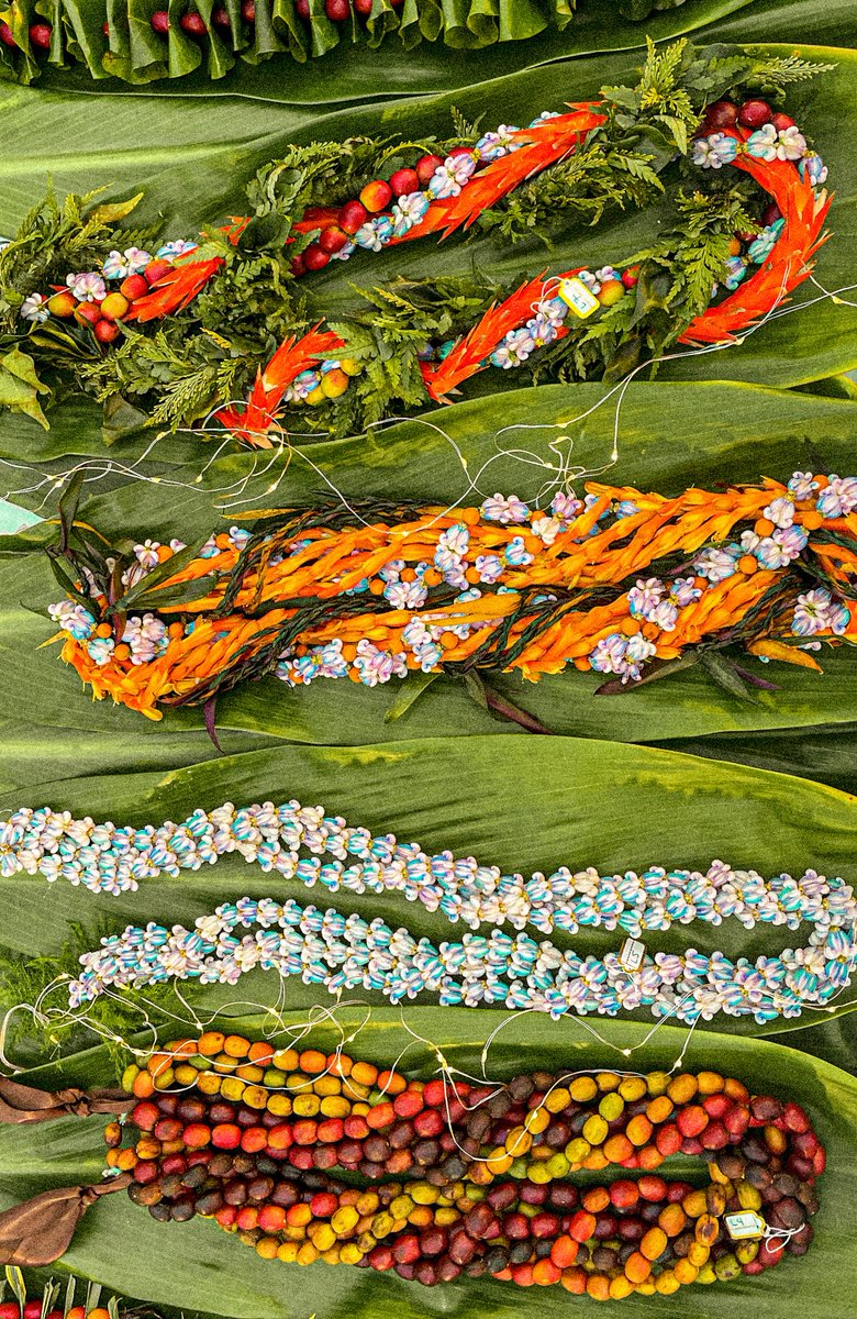 It’s Merrie Monarch week here in Hilo, Hawaii! 🌺As the largest hula competition in the world, the Merrie Monarch Festival is also a week of sharing Hawaiian cultural traditions and much more! Stoked to support with our water, and we'll share glimpses of the event this week🌈