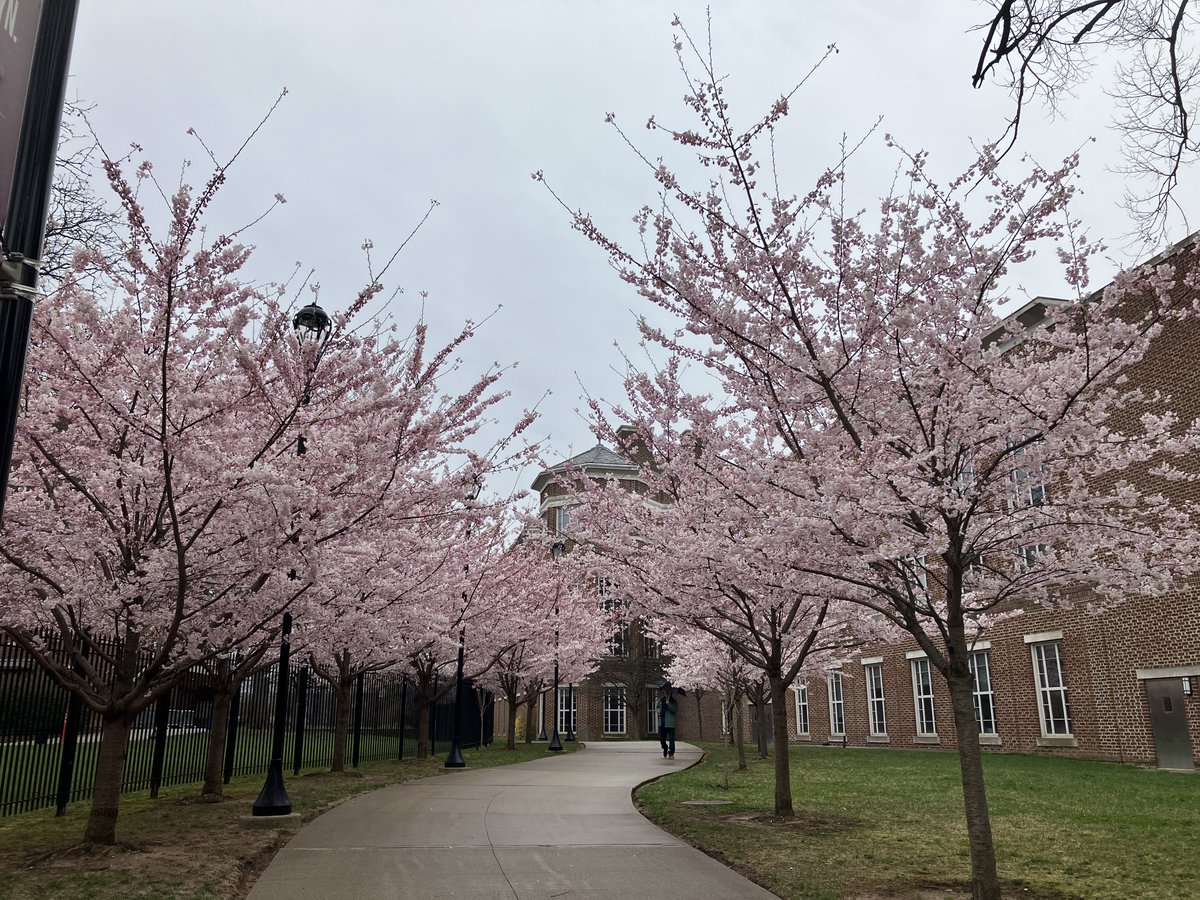 Brooklyn College this morning. @BklynCollege411