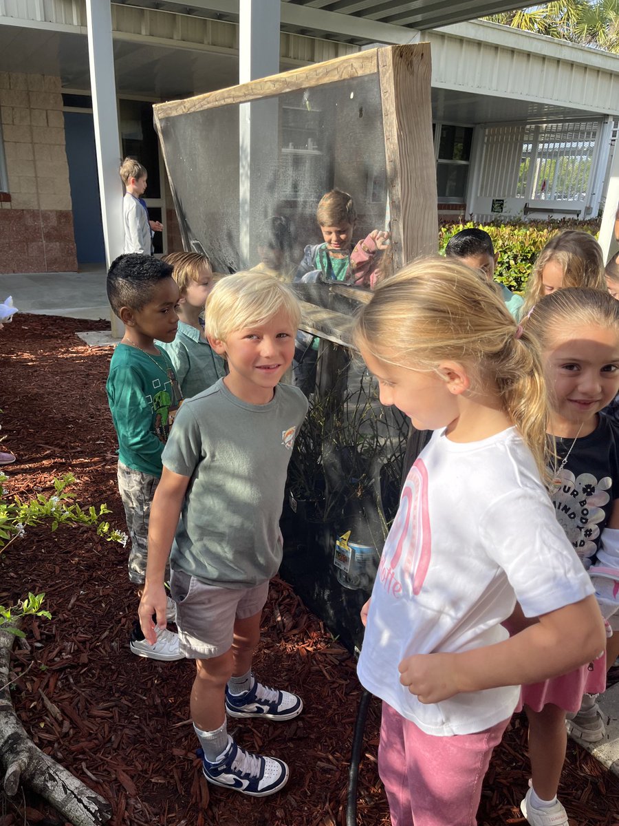 Janice Iacovino tweet media