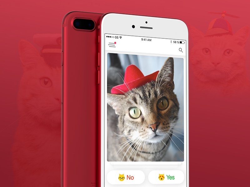 Tinder Cat tweet media