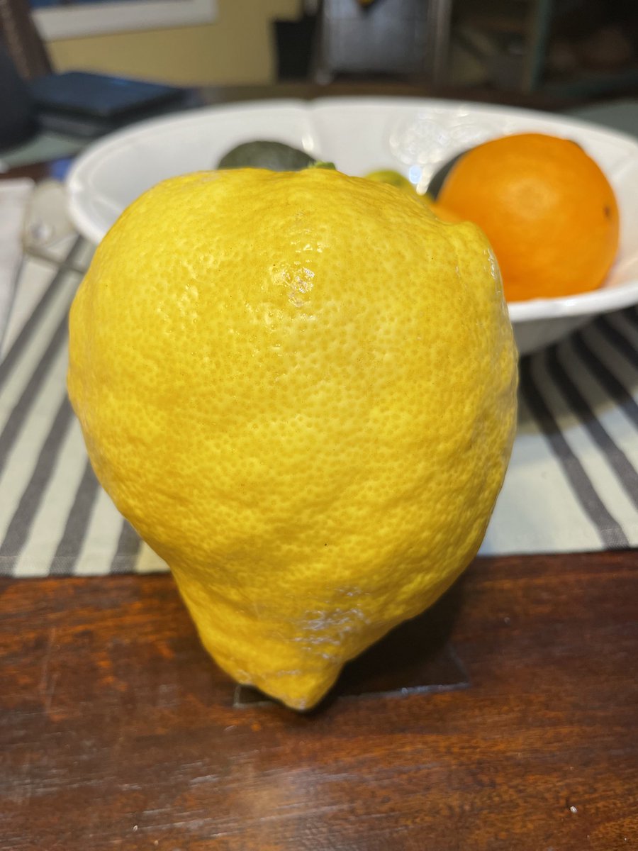 Mama knows how to grow me some lemons!🍋