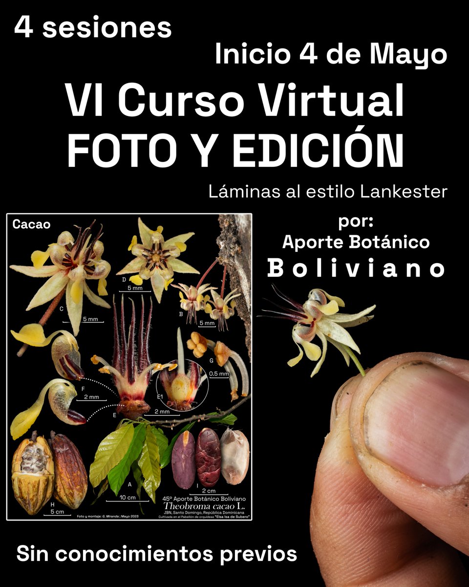 aportebotanico's tweet photo. Lanzamos el VI Curso de Foto y Edición, inicia el 4 de Mayo
Como boliviano soy consciente de nuestra realidad latina
Por ello sortearé becas cada semana en mi Instagram, ofrezco un grueso descuento para Argentina y para nuestros hermanos de Cuba y Venezuela, el curso es gratuito https://t.co/LLlMj0EWP0