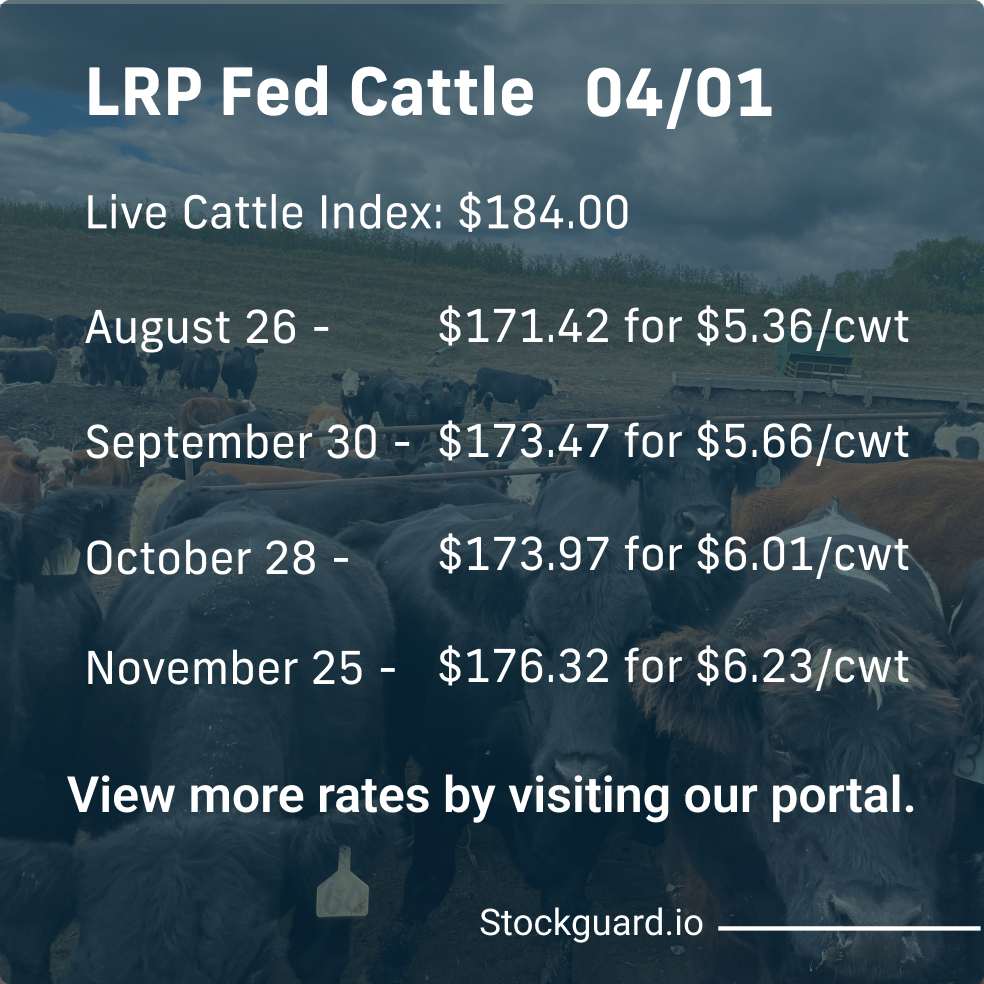 Stockguardinfo's tweet image. Monday, April 1st LRP Rates: Stay current on today&apos;s live and feeder cattle rates–don&apos;t fall behind on the market! View live rates: hubs.ly/Q02rndSS0

#LivestockRiskManagement #RiskManagementTools #LivestockSafety #FarmersProtection #LivestockInsurance