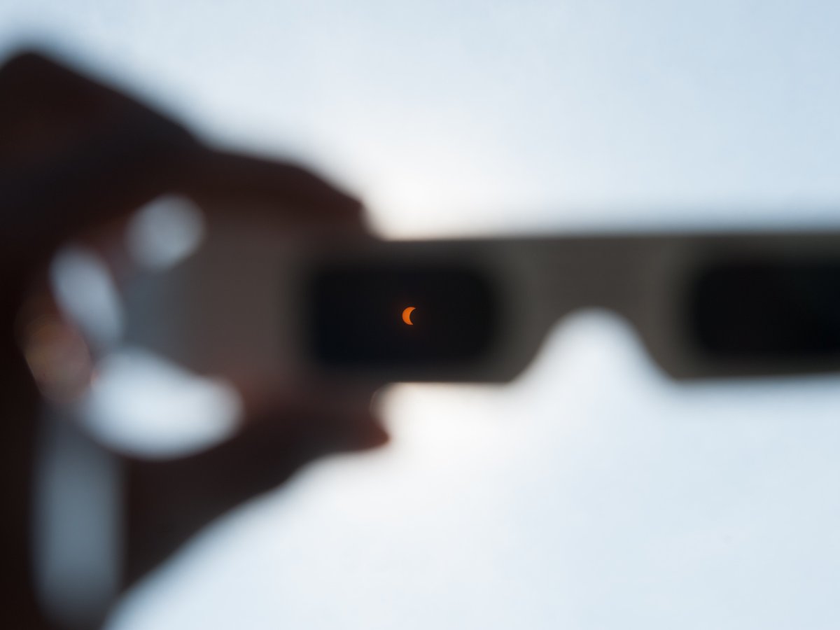 buffalostate's tweet photo. We're ONE WEEK away from the April 8 eclipse.
Ensure an unforgettable eclipse-watching experience at Eclipse Fest, sponsored by @BCBSWNY
Join us for
🎶 entertainment
🔭 education with @WFPlanetarium
🌔 eclipse souvenirs
🎨 activities for all ages
and more!
https://t.co/Qv0s0eYde7 https://t.co/PMLkjdveP0