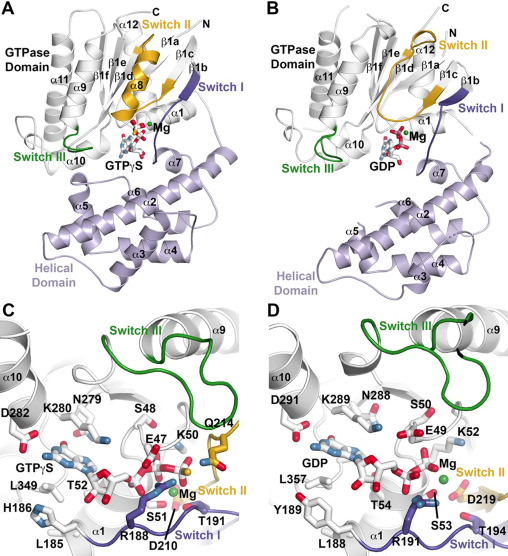 SonaPandey Lab (@sonapandeylab) on Twitter photo Plant G-protein research: Check out our latest work on the structural bases of Ga and RGS-dependent regulation across plant lineages. shorturl.at/bKMYZ
<a href="/diwakarshukla/">Diwakar Shukla</a>
<a href="/Daniela15374879/">Daniela TR</a>
<a href="/DanforthCenter/">Danforth Center</a>
@WUSTL Plant G-protein research: Check out our latest work on the structural bases of Ga and RGS-dependent regulation across plant lineages. shorturl.at/bKMYZ
<a href="/diwakarshukla/">Diwakar Shukla</a>
<a href="/Daniela15374879/">Daniela TR</a>
<a href="/DanforthCenter/">Danforth Center</a>
@WUSTL