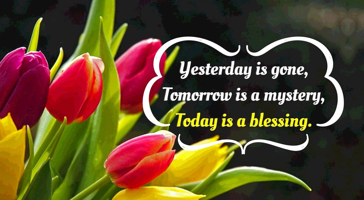 Thomas ✟ 🇺🇸 (@okpick1) on Twitter photo 