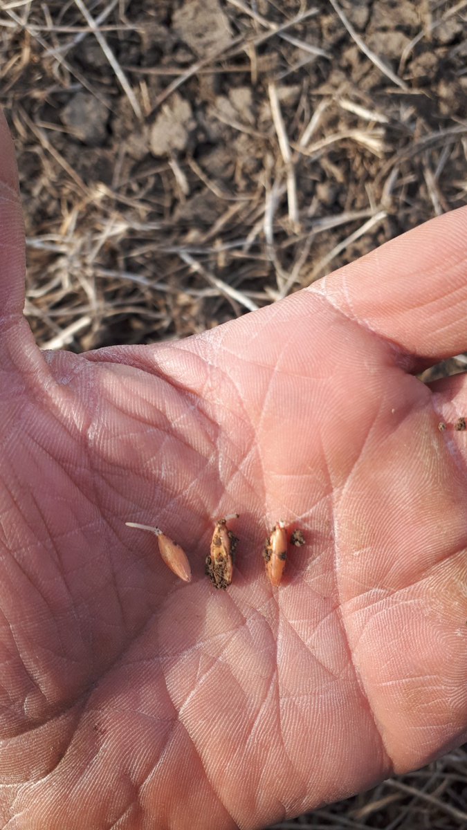 It all starts again #plant24