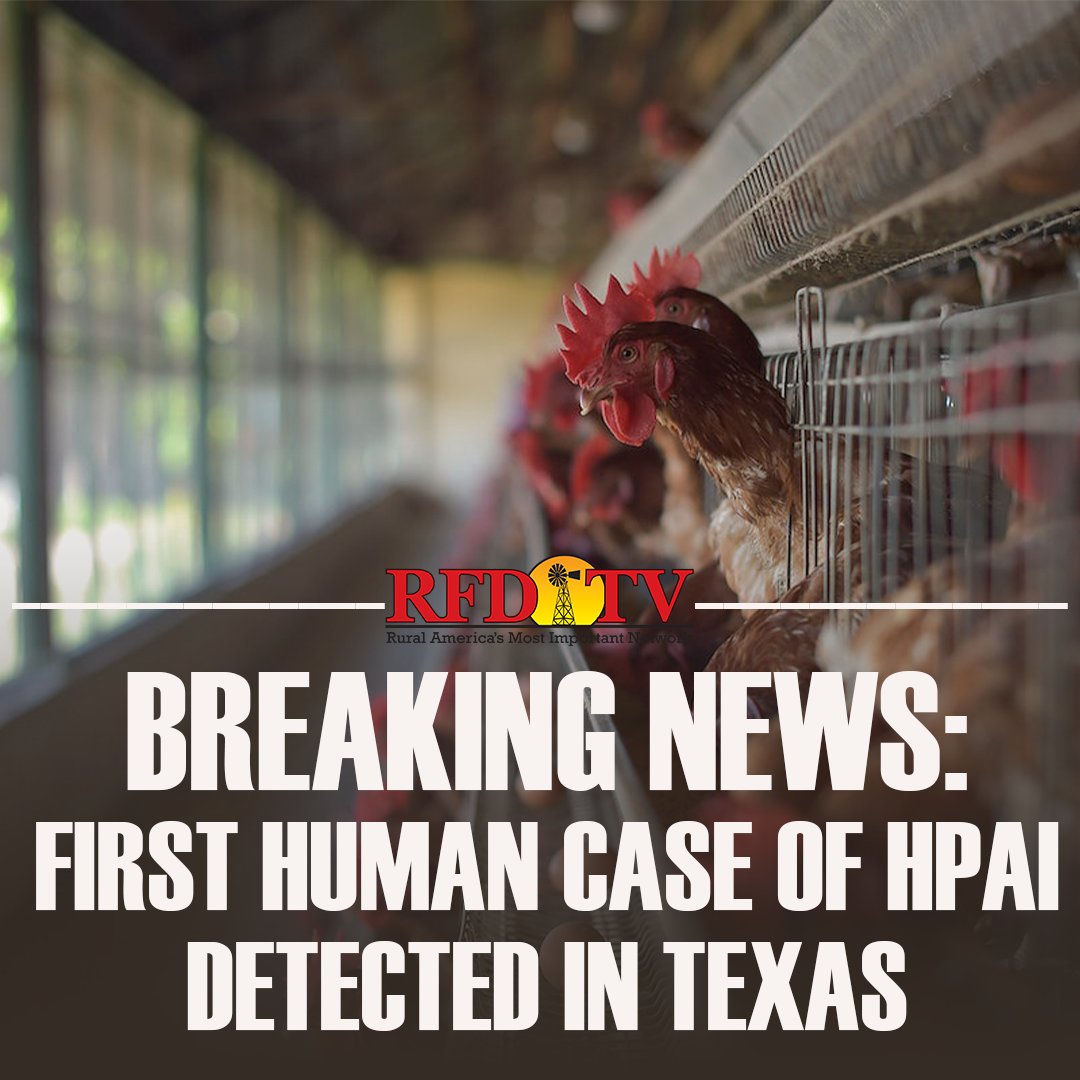 JUST IN: One person in Texas has been infected with High Path Avian Flu after having direct contact with cattle, according to AgriPulse. 

#HPAI #ruralhealth #agtwitter