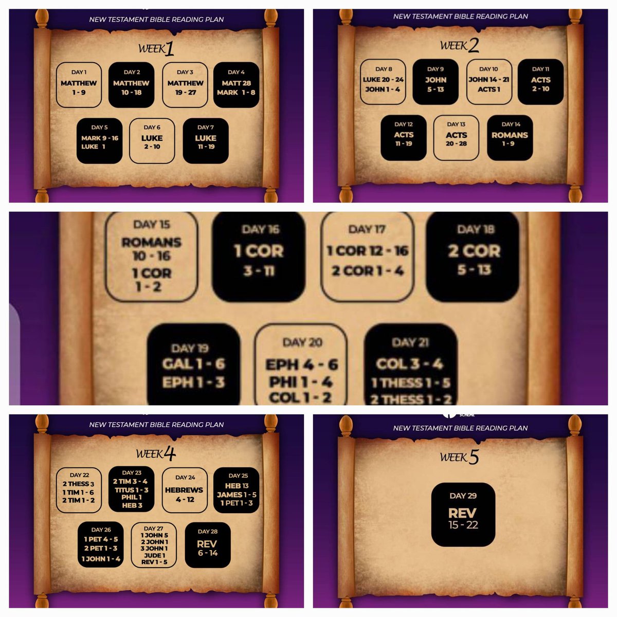 New Testament Bible Reading Challenge organised by Spiritual Growth Steps Ministry which lasted from March 4th to April 1st 2024 concluded. 
Truly, "........with God all things are possible."
Matt. 19:26
To God be all the glory!