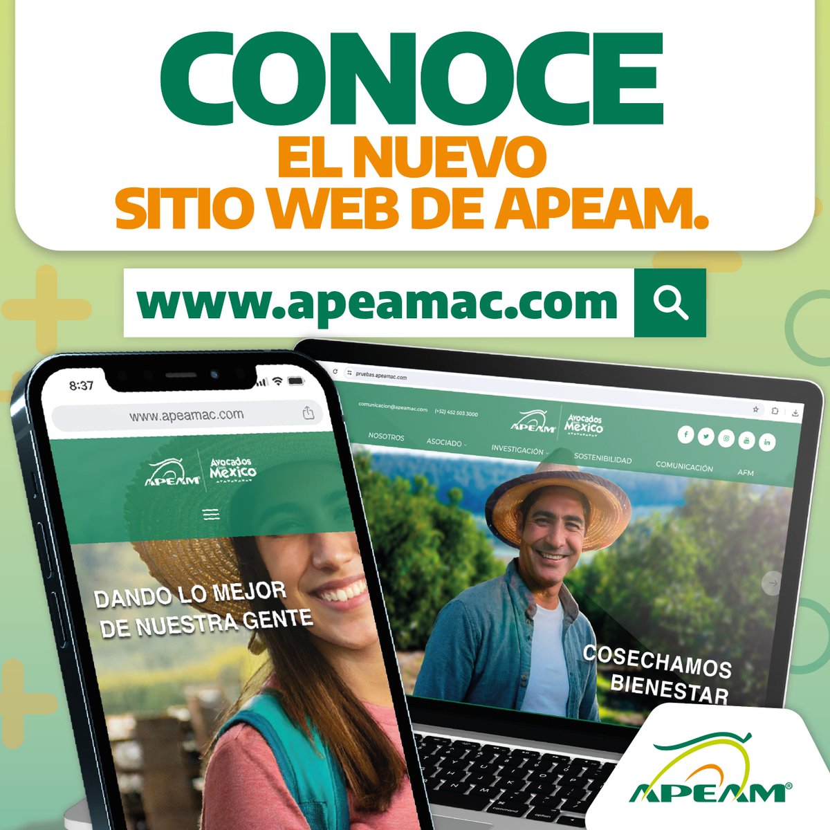 ¡Bienvenidos al nuevo sitio web APEAM! Un espacio creado especialmente para ti 👉🏻 apeamac.com ​ Aquí conocerás las principales acciones e información relacionada con la industria del aguacate de exportación. 🥑​ .​ .​ #APEAM #AguacatesMexicanos #ElAguacateEsMéxico