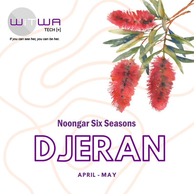 We welcome the Djeran season within the WiTWA Community 🍂 The transformative Indigenous season of DJERAN embodies change and transition. It's that magical time of year when the weather starts to cool down, and the leaves begin their dance to the ground.